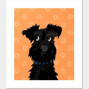 Black Miniature Schnauzer Dog with Orange Daisies Posters and Art